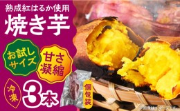 【ふるさと納税】【お試し】【ねっとり甘い熟成サツマイモ】冷凍焼き芋（紅はるか） 3本(S〜M) / さつまいも やき芋 冷凍 小分け 個包装 