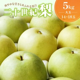 【ふるさと納税】【先行予約／数量限定100】京丹後産 二十世紀梨 大玉 5kg（14〜18玉入り）（2024年9月上旬〜発送） 