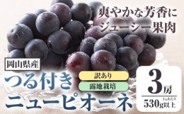 【ふるさと納税】 258.岡山県産 訳ありつる付きニューピオーネ 3房 530g以上 葡萄 果物 厳選出荷 スイーツ フルーツ デザート 岡山県矢掛