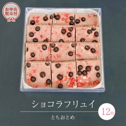 【ふるさと納税】【 お中元 熨斗 付】 ショコラフリュイ とちおとめ 12枚 チョコレート チョコ スイーツ デザート 高級 ギフト 贈り物 お