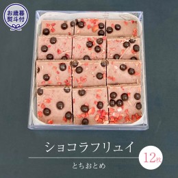 【ふるさと納税】【 お歳暮 熨斗 付】 ショコラフリュイ とちおとめ 12枚 チョコレート チョコ スイーツ デザート 高級 ギフト 贈り物 お