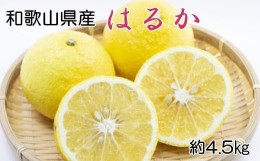 【ふるさと納税】【さわやか柑橘】和歌山県産はるかみかん約4.5kg（サイズ混合　秀品）※2025年2月下旬〜2025年3月下旬頃順次発送