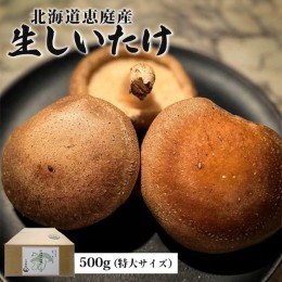 【ふるさと納税】【先行予約】《数量限定》北海道恵庭産生しいたけ500g（特大サイズ）【800003】