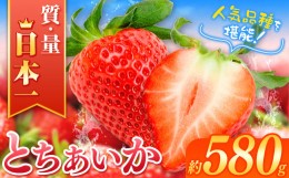 【ふるさと納税】【2025年先行予約】とちあいか  (290g×2パック）約580g | 日本一 いちご生産量 JAはが野 栃木県 代表 真岡市 栃木県 送