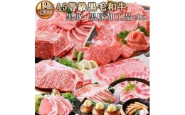 【ふるさと納税】お肉の定期便(12回)枕崎お楽しみ便(A5等級黒毛和牛・黒豚・黒豚加工品etc)KK-6003【1166746】ふるさと納税 定期便 A5等