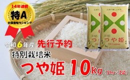 【ふるさと納税】【令和６年新米  先行予約】山形県小国町産 つや姫10kg（5kg×2袋）