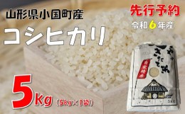 【ふるさと納税】【令和６年新米  先行予約】コシヒカリ5kg　