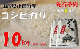 【ふるさと納税】【令和６年新米  先行予約】コシヒカリ10kg（5kg×2袋）　