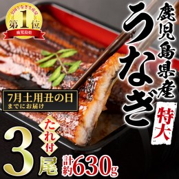 【ふるさと納税】【0234303a-2407】＜土用丑の日までにお届け＞東串良町のうなぎ蒲焼(無頭)(3尾・計約630g・タレ、山椒付)うなぎ 高級 ウ