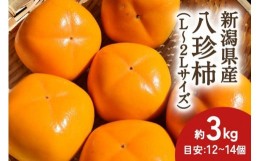 【ふるさと納税】【2024年先行予約】新潟県産 八珍柿 約3kg 種なし柿 刀根早生《10月上旬〜順次発送》