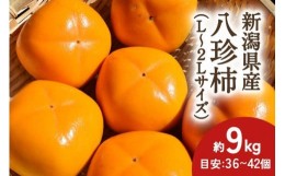 【ふるさと納税】【2024年先行予約】新潟県産 八珍柿 約9kg 種なし柿 刀根早生《10月上旬〜順次発送》