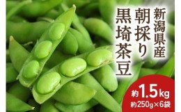 【ふるさと納税】【2024年先行予約】新潟県産 朝採り 黒埼茶豆 約1.5kg《8月上旬〜順次発送》