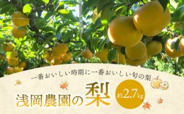 【ふるさと納税】浅岡農園 の 梨 約2.7kg 豊水 秋月 新高 甘太 果物 大分県産 【2024年9月上旬-11月上旬発送予定】