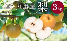 【ふるさと納税】九重産 3L以上 梨 約3kg （二十世紀、あきづきのうちいずれか一種）【2024年9月上旬-2024年9月下旬発送】 