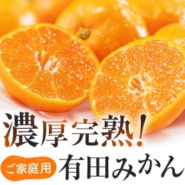 【ふるさと納税】有田育ちのご家庭用完熟 有田みかん 2.2kg ※2024年11月上旬〜12月下旬頃に順次発送