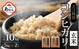 【ふるさと納税】【先行予約】【令和6年産】エコ栽培コシヒカリ 玄米10kg（5kg×2） ／ 高品質 鮮度抜群 福井県産 こしひかり 新米 ※202