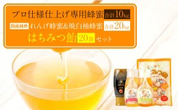 【ふるさと納税】プロ仕様仕上げ専用蜂蜜 れんげ 晩白柚蜂蜜 蜂蜜あめ 各20本づつ