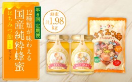 【ふるさと納税】【定期便 年6回】蜂蜜165g×12種類が味わえる+蜂蜜あめ袋