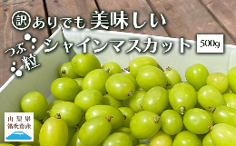 【ふるさと納税】【ふるさと納税】訳ありだけど美味しい 2024年発送 シャインマスカット 粒 約500g 山梨県笛吹市 ふるさと納税 シャイン