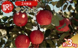 【ふるさと納税】2月発送 訳あり サンふじ 約3kg 【弘前市産・青森りんご】