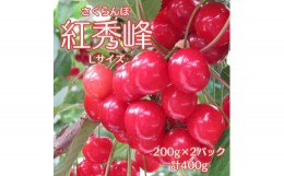 【ふるさと納税】南信州高森産さくらんぼ 紅秀峰L  400g