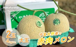 【ふるさと納税】山内農園のメロン　大玉（2kg以上）　2玉