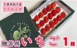 【ふるさと納税】先行予約 贈答用 いちご とちおとめ  1箱  約400g  イチゴ 苺 化粧箱 人気 定番 食べやすい 果物 フルーツ ストロベリー