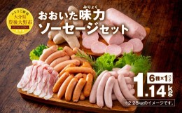 【ふるさと納税】070-1100 おおいた 味力 ソーセージ セット 1.14kg ベーコン