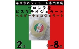 【ふるさと納税】ブロンテ産ピスタチオ&ベルギーチョコジェラート8個セット【1460820】