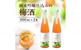 【ふるさと納税】＜金鯱＞純米吟醸仕込みの梅酒(500ml×2本)【1485677】