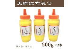 【ふるさと納税】竹内養蜂の蜂蜜1種(くろがねもち3本) 各500g【1488844】