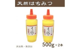 【ふるさと納税】竹内養蜂の蜂蜜1種(くろがねもち2本) 各500g【1488845】