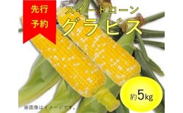 【ふるさと納税】2413とうもろこし「グラビス」5kg（2L〜3L　12本入り）