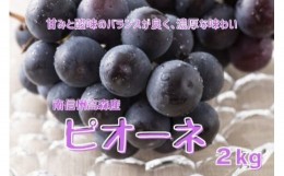 【ふるさと納税】【南信州高森産】ピオーネ約2kg