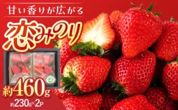 【ふるさと納税】大塚ファームのいちご「 恋みのり 」 2パック【2024年12月中旬〜2025年3月発送予定】 ▼ いちご イチゴ 苺 甘い あまい 