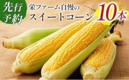 【ふるさと納税】《季節限定》栄ファーム自慢のスイートコーン（10本）