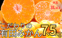 【ふるさと納税】【農家直送】有田みかん 約8kg 大玉3L以上 有機質肥料100% ※2024年12月初旬〜1月中旬に順次発送(お届け日指定不可)/み