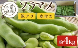 【ふるさと納税】【先行受付】千葉県産　ソラマメ　4kg　訳アリ　皮付き【令和7年5月から順次発送】ふるさと納税 そらまめ ソラマメ そら