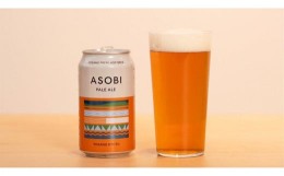 【ふるさと納税】【国産生ホップ使用】クラフトビールASOBI アソビ 5本セット 京都 与謝野町 フルーティーで飲み疲れないビール ペールエ