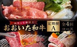 【ふるさと納税】《定期便》おおいた和牛 定期便A