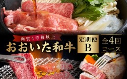 【ふるさと納税】《定期便》おおいた和牛 定期便B