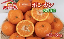 【ふるさと納税】贈答用 ポンカン 2 ~ 3kg 矢野青果 果物 フルーツ 柑橘 みかん 蜜柑 贈答品 贈答 ギフト プレゼント 産地直送 数量限定 