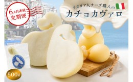 【ふるさと納税】【定期便】カチョカヴァロ Caciocavallo 500g(6カ月連続お届け)