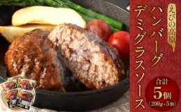 【ふるさと納税】えびの高原 ハンバーグ デミグラスソース 5パック 合計1kg 200g×5パック お肉 肉 惣菜 温めるだけ パック 成長ホルモン