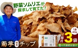 【ふるさと納税】【全6回定期便】【数量限定】菊芋 焙煎 チップ 120g (40g×3パック)【グリーンファーム矢部】 [YDC009]