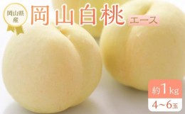 【ふるさと納税】岡山県産 桃 岡山白桃 2024年 先行予約 エース 約1kg（4〜6玉）早生種・中生種 もも モモ フルーツ 果物 ギフト