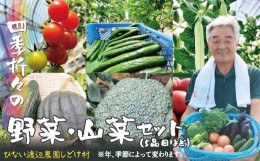 【ふるさと納税】四季折々の野菜・山菜セット（5品目ほど） 45P3203