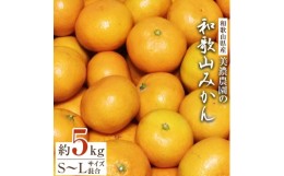 【ふるさと納税】和歌山県産　美濃農園の和歌山みかん　約5kg【1274028】