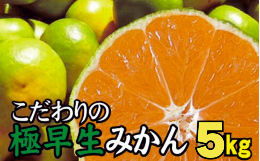 【ふるさと納税】【2024年秋頃発送予約分】＼光センサー選別／ 【農家直送】こだわりの極早生みかん 約5kg 【数量限定】 有機質肥料100% 