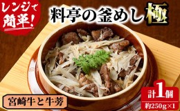 【ふるさと納税】料亭の釜めし・極＜宮崎牛と牛蒡＞（250g×1個）釜飯 料亭 惣菜 時短 お取り寄せ グルメ 冷凍 レンジアップ【TW-4】【魚